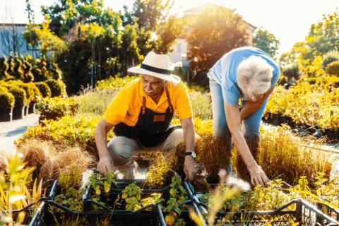 Jak pielęgnować hobby i pasje w późniejszym wieku_ Klucz do radości i satysfakcji